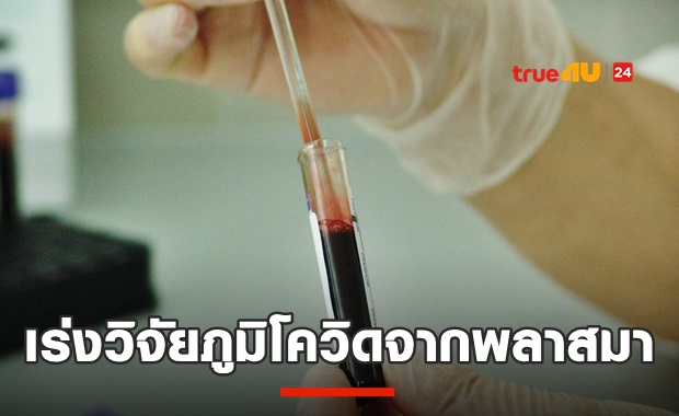 ไทยเร่งวิจัยพลาสม่าโควิด19สร้างภูมิ คาดไวกว่าวัคซีน