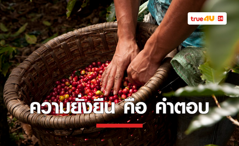 “ความยั่งยืน” ปรัชญาหลักของเนสเพรสโซสู่กลยุทธ์ขับเคลื่อนแบรนด์
