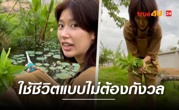 สดชื่น เรียบง่าย