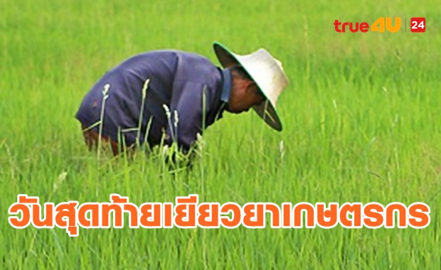 วันนี้วันสุดท้าย! เยียวยาเกษตรกร ยังไม่ได้สิทธิ์รีบยื่นอุทธรณ์