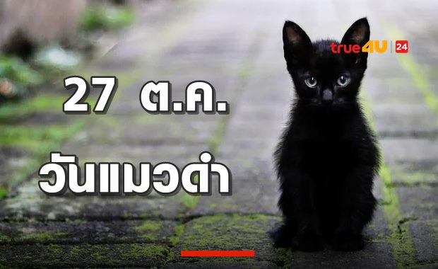 ชาบูแด่นายท่าน! 27 ตุลาคม วันแมวดำ Black Cat Day