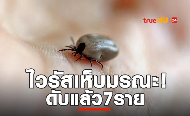 สะพรึง! ไวรัสเห็บมรณะในจีน ดับ7 ติดเชื้อ60ราย